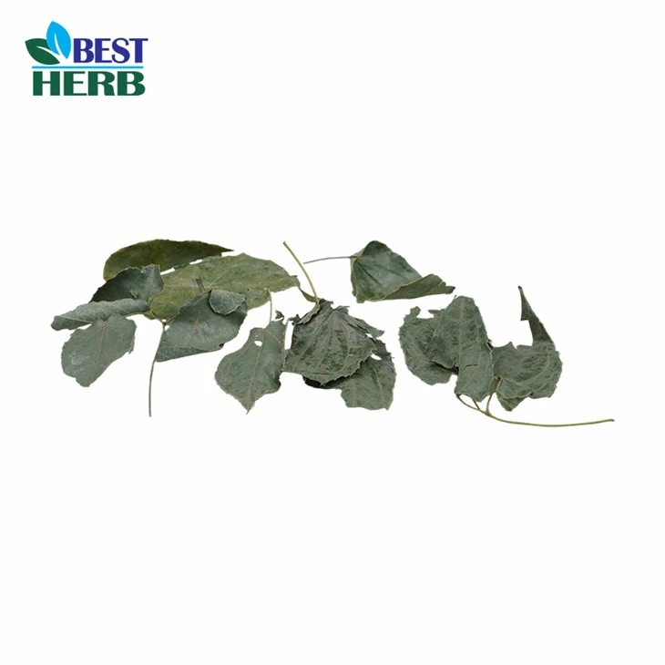 Epimedium Powder