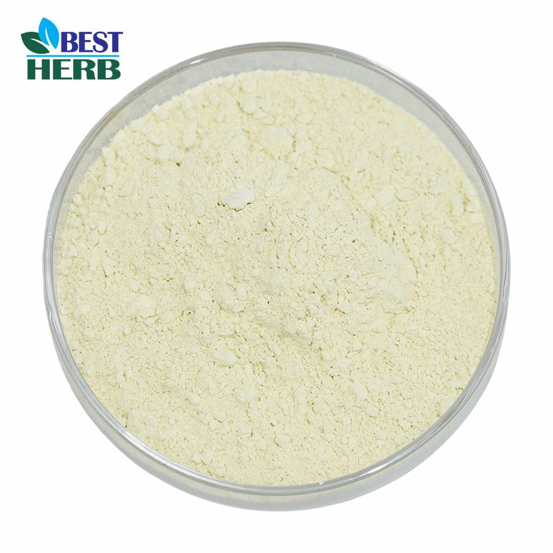 Epimedium Powder